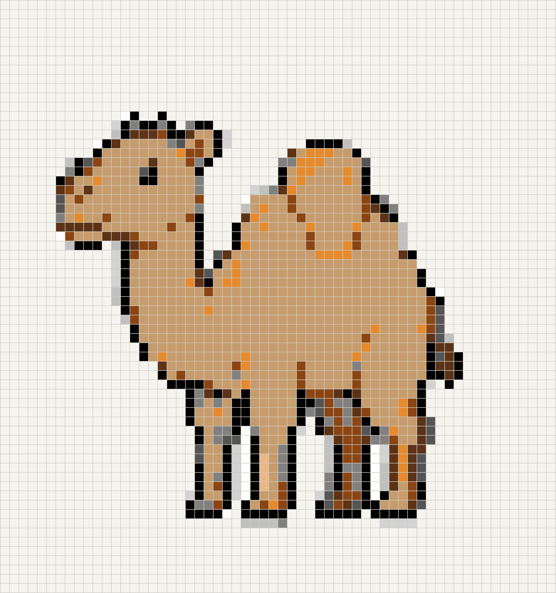 Camel