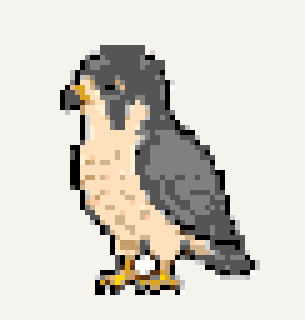 Parrot