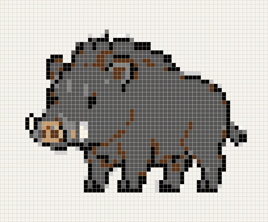 Wild_boar