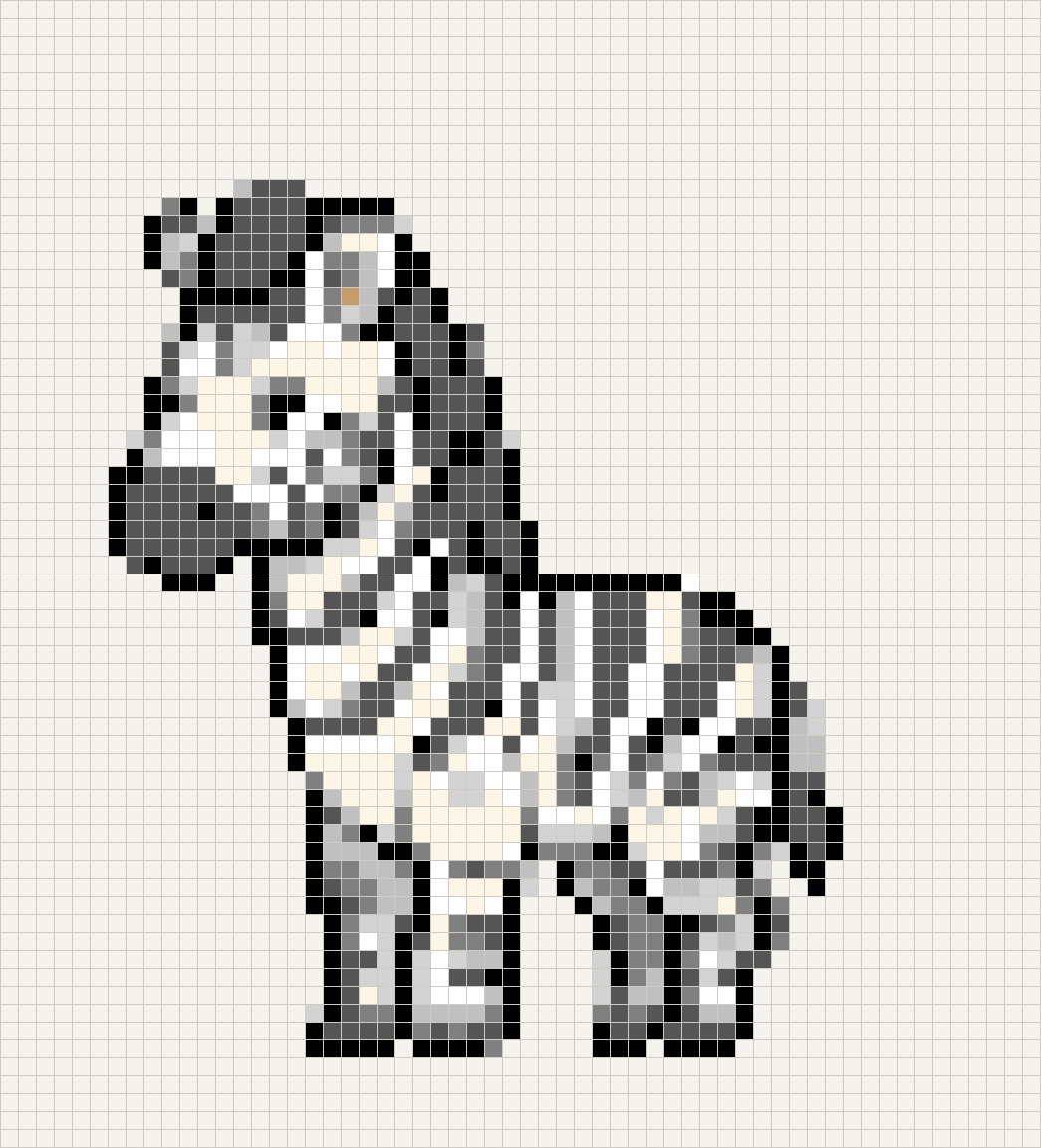 Zebra